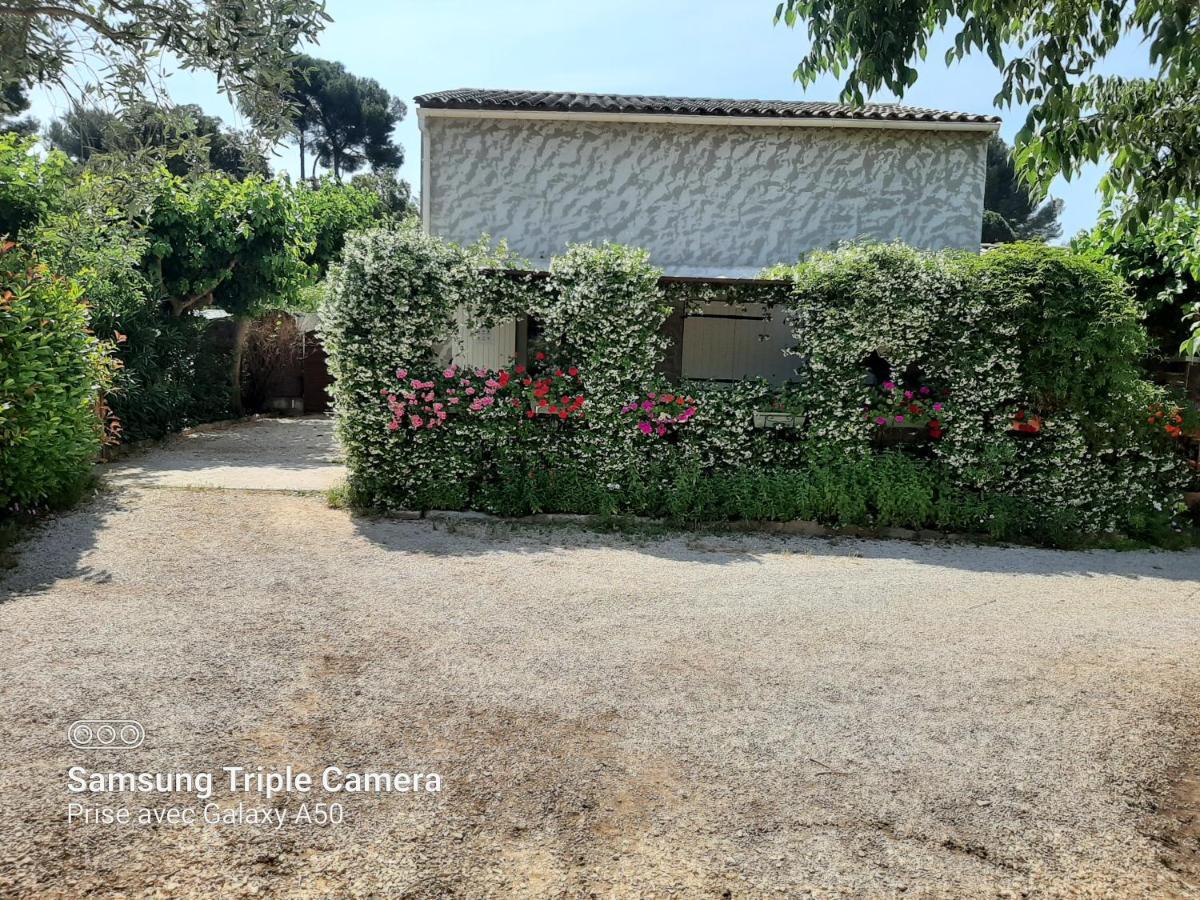 Willa Les Lauriers Le Castellet  Zewnętrze zdjęcie